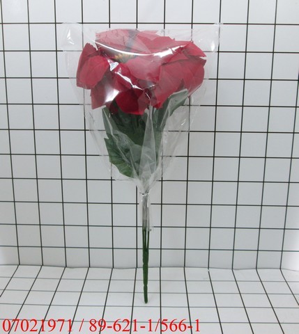 Bunga Kastuba Merah