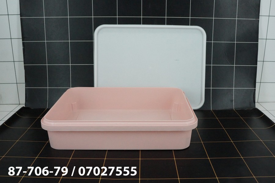 GE - Kotak Sealware 22 x 16 x 4.7 Cm Serbaguna