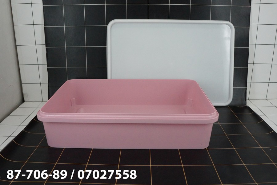 GE - Kotak Sealware 30 x 20 x 7 Cm Serbaguna