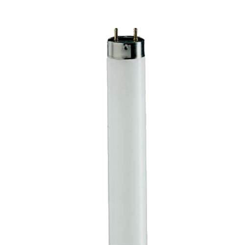 LAMPU LED PHILIPS TL-D SPR 36W/840 CW 36 Watt
