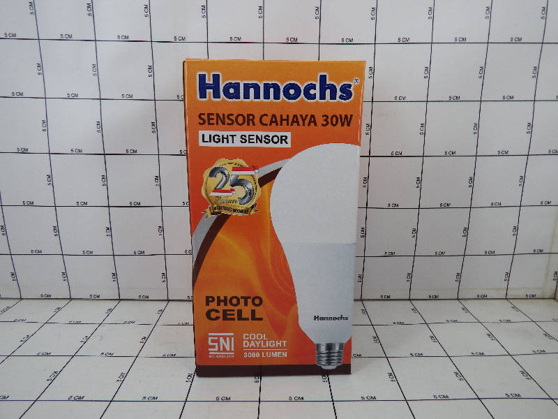 Hannochs Sensor Cahaya 30W Light Sensor